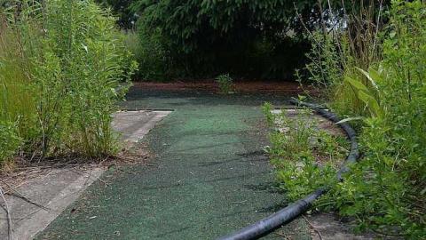 [June 2015] - Thunderbird-Down55.jpg