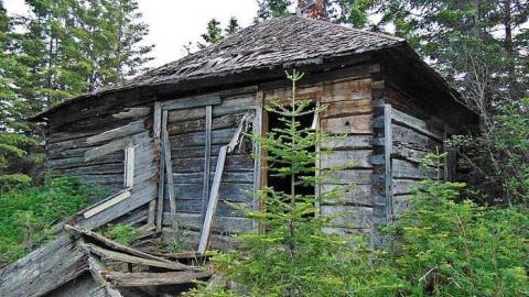 Old Dawson Pioneer House photo 5