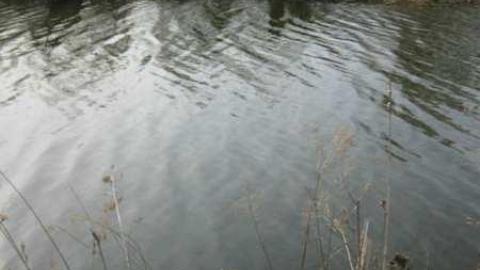 Canal rd. house - Canal-Road-house7.jpg