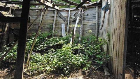 Dawson Lots Pioneer Collapse photo 2