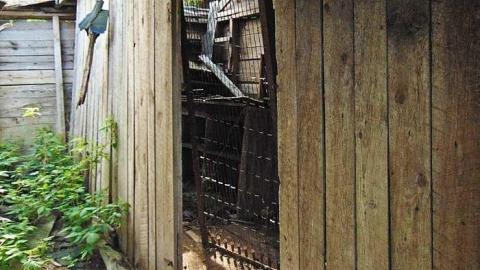 Dawson Lots Pioneer Collapse - Dawson-Lots-Pioneer-Collapse4.jpg