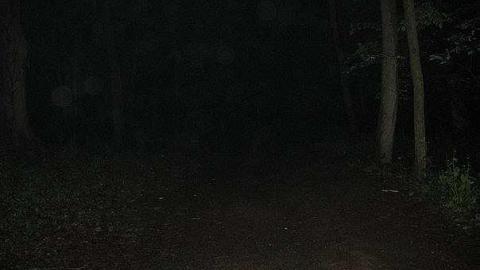 Photo from The Hermitage at night