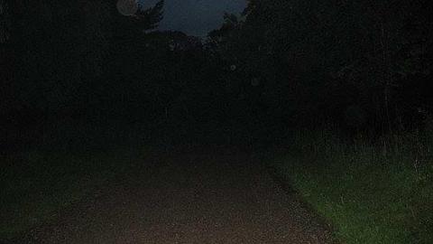 Photo from The Hermitage at night