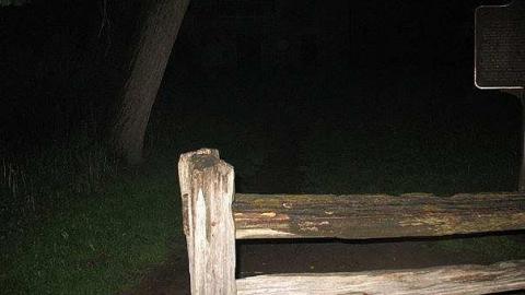 The Hermitage at night - The-Hermitage6.jpg