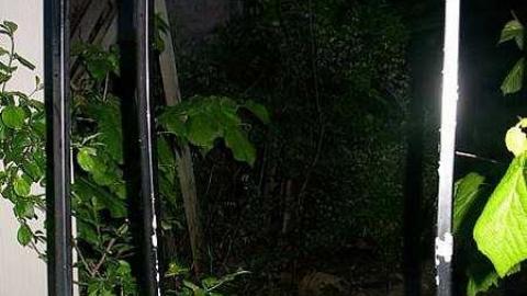 The Hermitage at night - The-Hermitage10.jpg