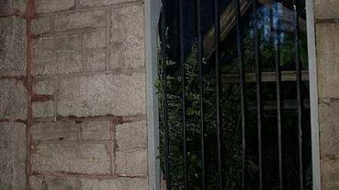 The Hermitage at night - The-Hermitage11.jpg