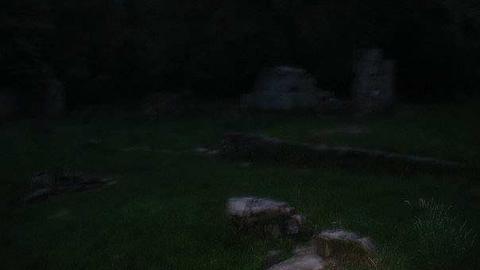 The Hermitage at night - The-Hermitage43.jpg