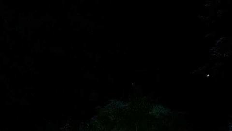 The Hermitage at night - The-Hermitage49.jpg