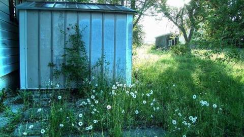 Still Standing - 2-4-1-O-2-4-110.jpg