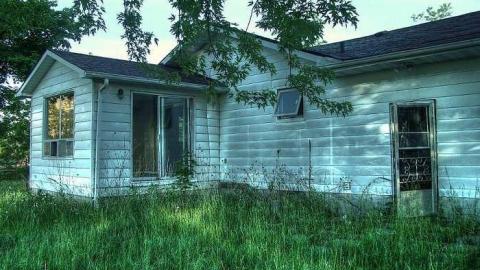 Still Standing - 2-4-1-O-2-4-111.jpg