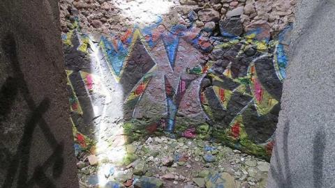 Huron Natural Area ruins photo 3