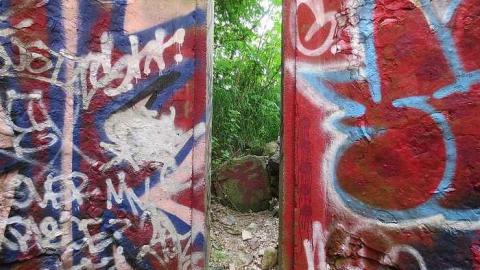 Huron Natural Area ruins photo 5