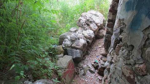 Too Much Green - Huron-Natural-Area-ruins8.jpg