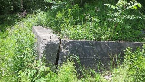 Huron Natural Area ruins photo 4
