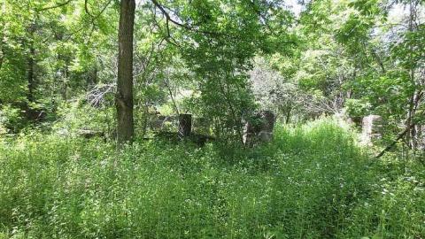 Huron Natural Area ruins - Kitchener, Ontario