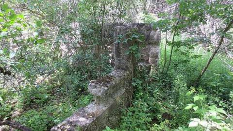 Too Much Green - Huron-Natural-Area-ruins10.jpg