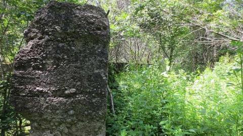 Too Much Green - Huron-Natural-Area-ruins7.jpg