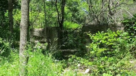 Too Much Green - Huron-Natural-Area-ruins11.jpg