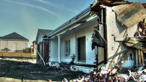 Dirt Nap - Half-Cut4.jpg