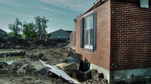 Dirt Nap - Half-Cut1.jpg