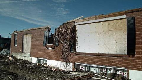 Dirt Nap - Half-Cut5.jpg