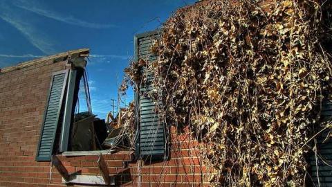 Dirt Nap - Half-Cut11.jpg