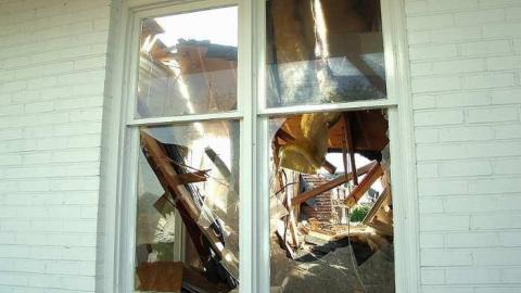 Dirt Nap - Half-Cut2.jpg