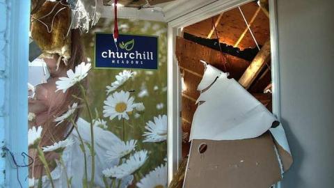 Dirt Nap - Half-Cut12.jpg