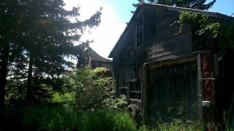 2015-06 -21 - Balaclava-Ghost-Town-(Grey)27.jpg