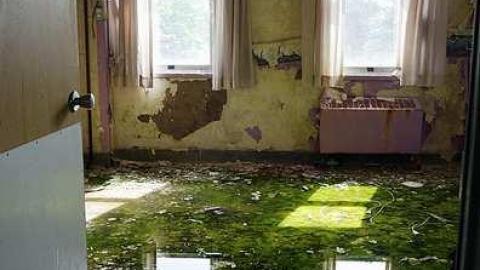 June '15 - DSC00206.jpg