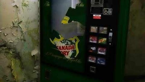 June '15 - DSC00261.jpg