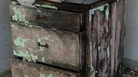 June '15 - DSC00397.jpg