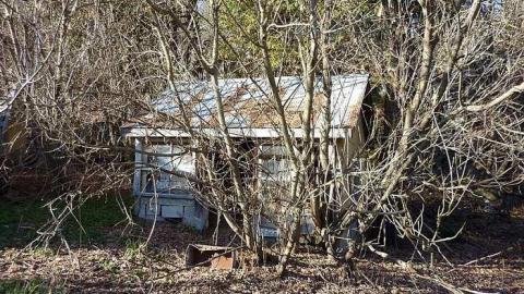 Pix - Coopers-Falls-Ghost-Town22.jpg