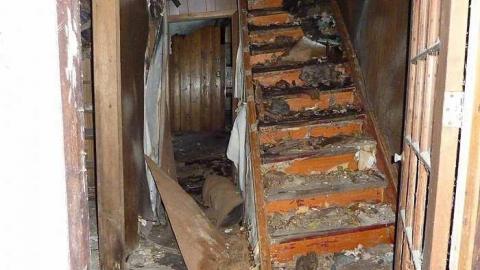 Pix - Sebright-(The-Arthurs-Tragedy)2.jpg