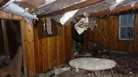 Pix - Sebright-(The-Arthurs-Tragedy)3.jpg