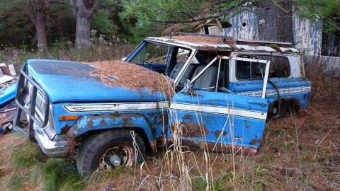 Pix - Sebright-(The-Arthurs-Tragedy)9.jpg