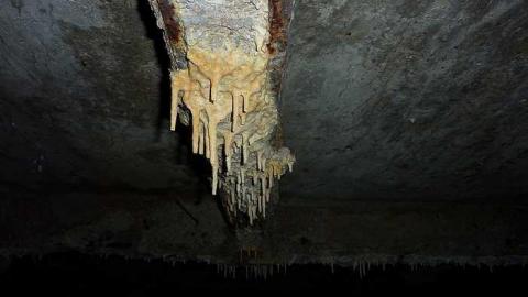 Pix - Donald-(ghost-chemical-plant)15.jpg