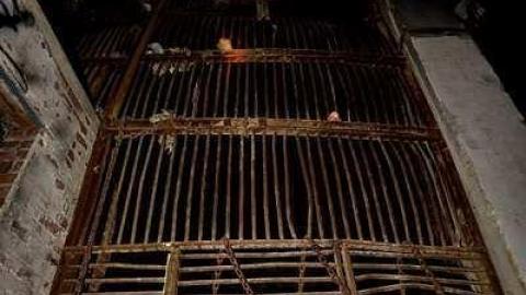 Inside the Incinerator... - 10689821_687822837979528_2565806740907053928_n.jpg