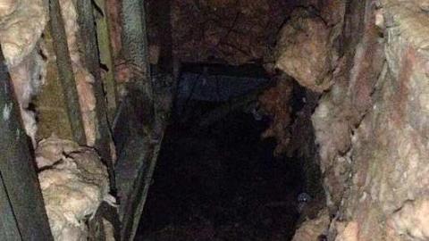 Unattended - loimage.jpg