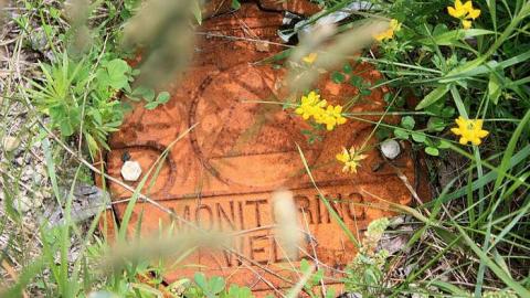 June 2015 - 27Jun-15C 019.jpg