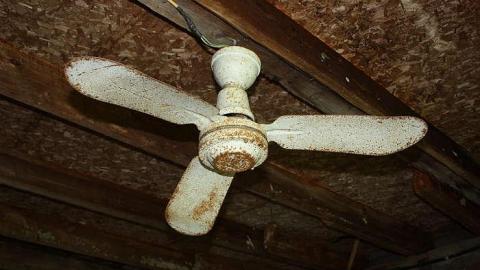 June 2015 - 27Jun-15C 035.jpg