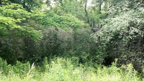 June 2015 - 27Jun-15C 057.jpg