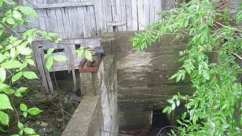 Photo from June 287th 2015