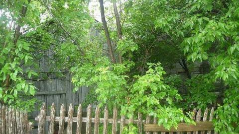 Photo from June 287th 2015