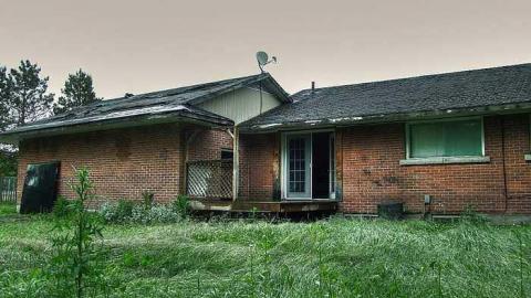 Drain The Main Vein photo 3