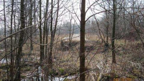 Passmore Avenue photo 2