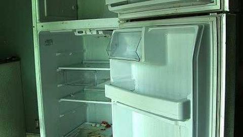 Rubber Romper Resilience - 6a.jpg