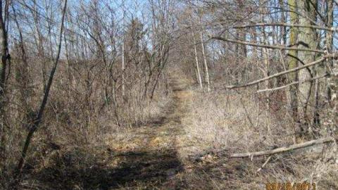 Passmore Avenue photo 5