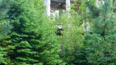 Donald Duck - Donald-(ghost-chemical-plant)261.jpg