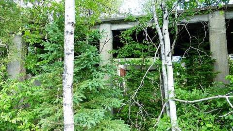 Donald Duck - Donald-(ghost-chemical-plant)264.jpg